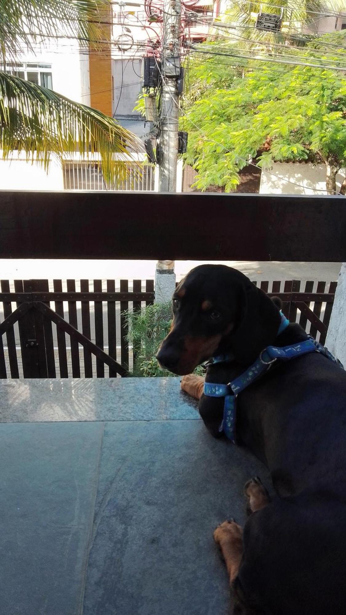 Casa Aconchegante 100M Da Praia Do Forte Cabo Frio Pokój zdjęcie